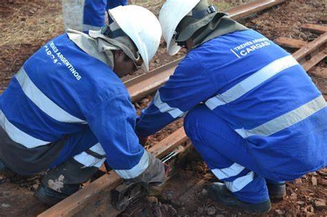 Trenes: El Ramal Tigre de la Línea Mitre No Funcionará Durante Diez Días