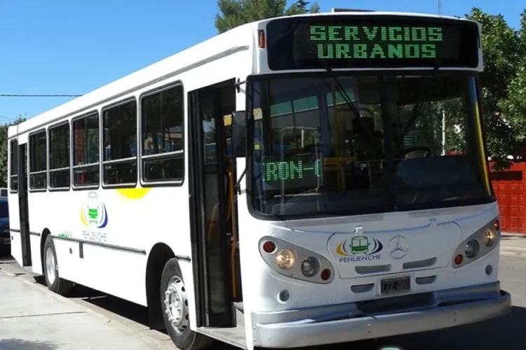 🚌 Sorpresivo paro de colectivos en el AMBA: qué líneas están afectadas y por qué