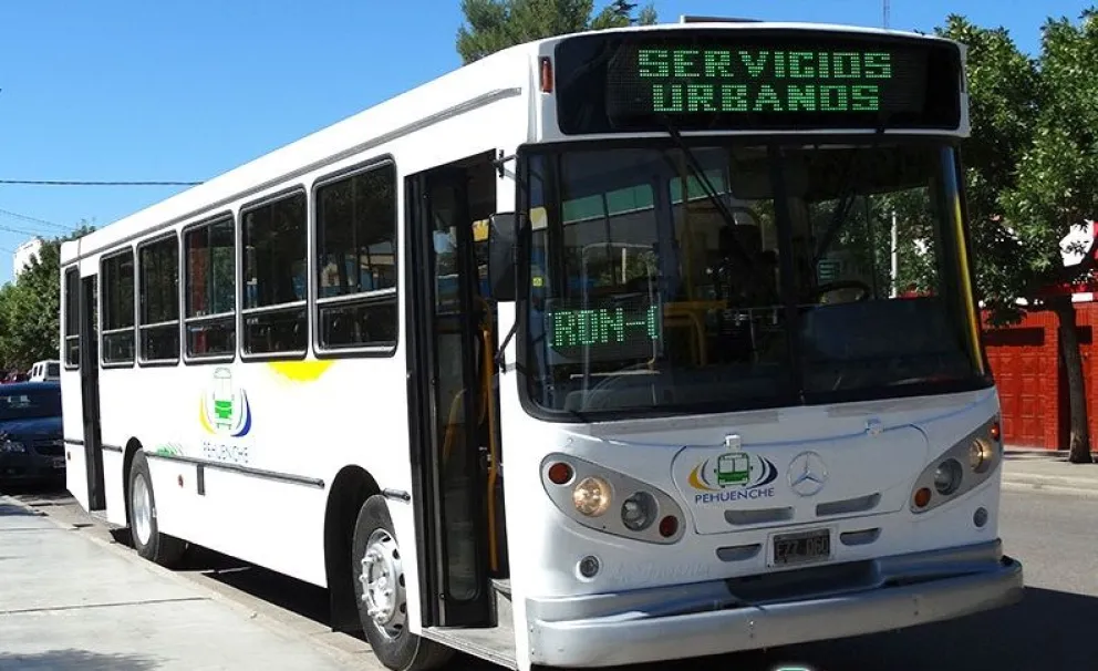 🚌 Sorpresivo paro de colectivos en el AMBA: qué líneas están afectadas y por qué