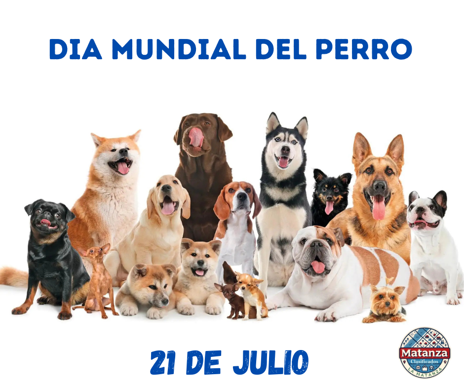 Día Mundial del Perro: este 21 de julio celebramos su lealtad y llamamos a cuidar su futuro